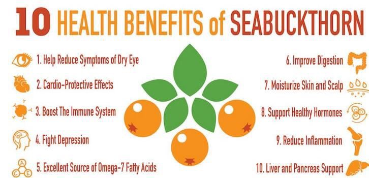 sea buckthorn benefits