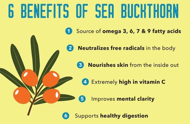 sea buckthorn berry benefits