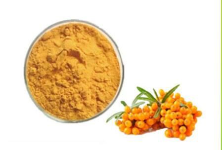 hippophae rhamnoides extract