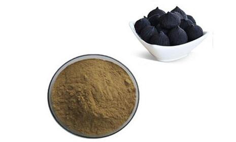 aged garlic extract powder