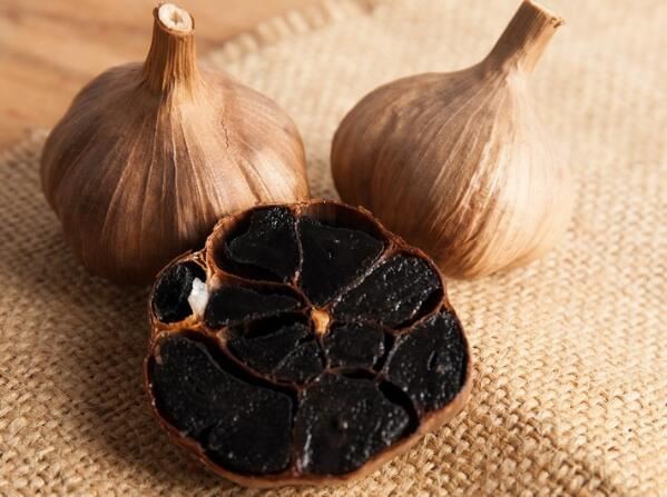 aged garlic BENEFITS