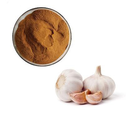 organic garlic powder