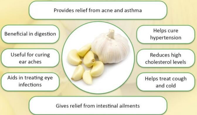 Garlic Powder Benefits