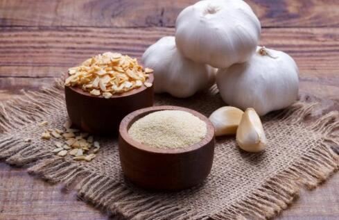 bulk Garlic powder BENEFITS