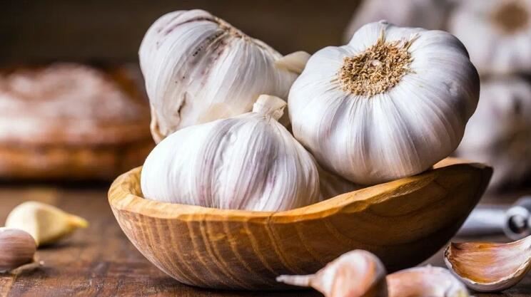 Garlic Allicin Benefits