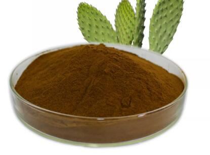 nopal cactus extract