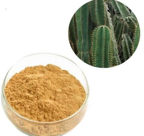 san pedro cactus extract for sale