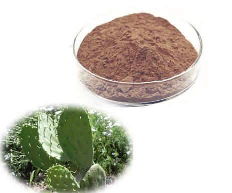 dehydrated cactus powder