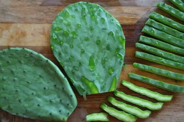 nopal cactus benefits