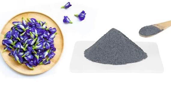 butterfly pea flower extract powder