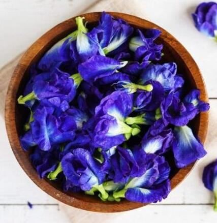 butterfly pea flower extract benefits