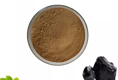 shilajit powder bulk