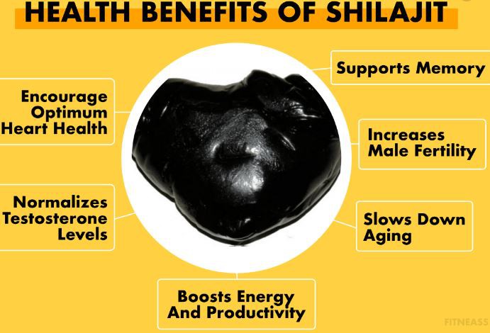 shilajit powder benefits