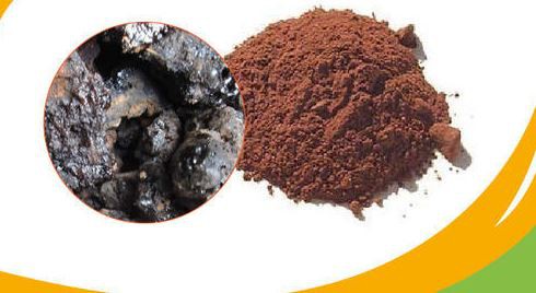 best shilajit powder