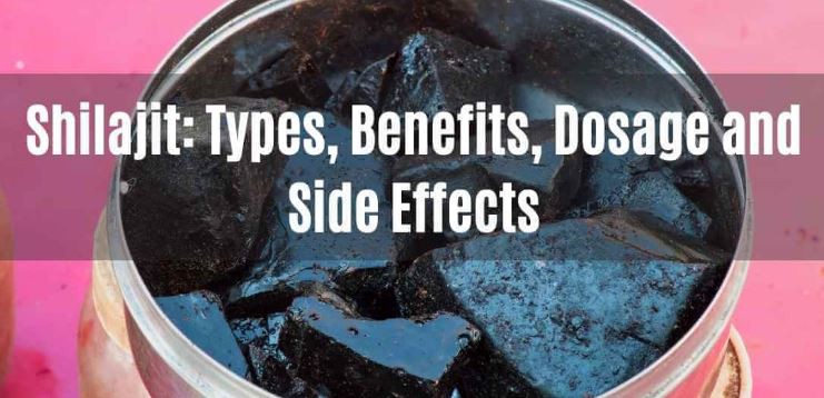 raw shilajit powder benefits