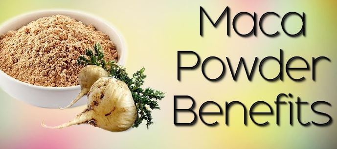 maca root benefits