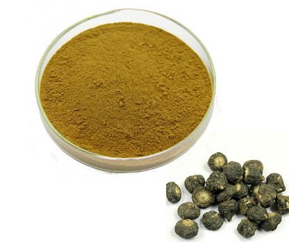 maca root extract powder