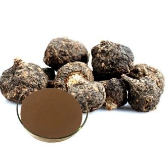 black maca root extract