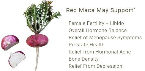 red maca benefits