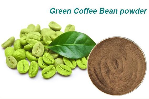 green coffee bean extract powder