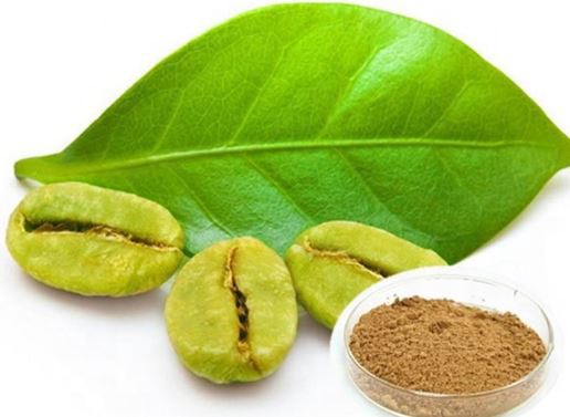 garcinia cambogia green coffee bean extract