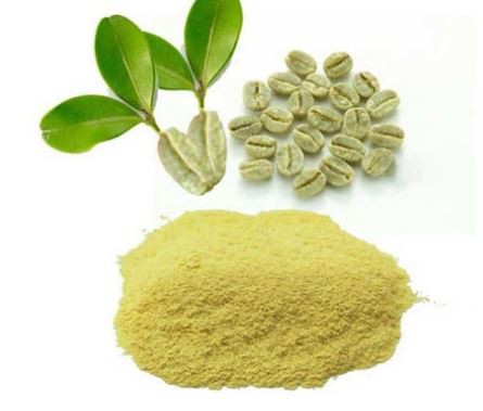 pure green coffee bean extract uk