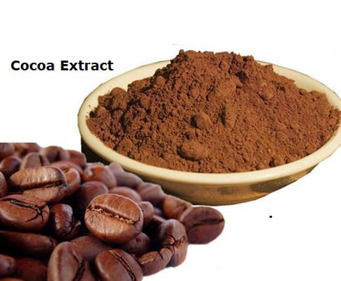 cocoa powder bulk