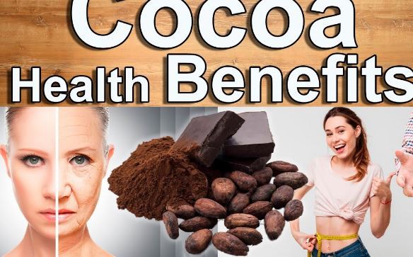 raw cocoa powder benefits