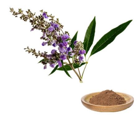 vitex chasteberry extract