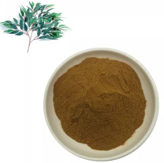 eucalyptus globulus leaf extract