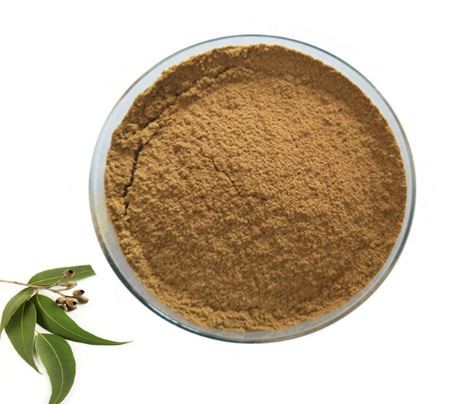 eucalyptus leaf powder.png