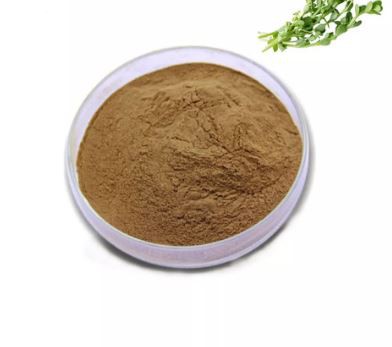 bacopa monnieri powder bulk