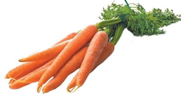 carrot extract powder benefits