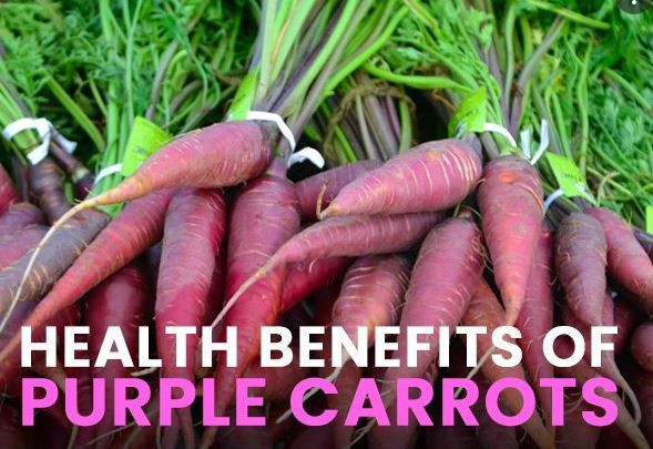 Purple Carrot Benefits