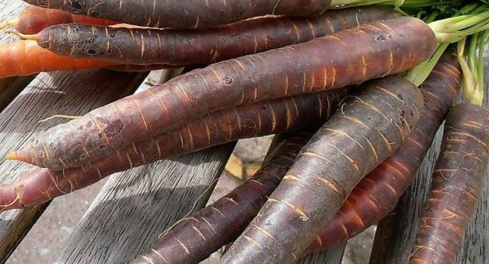 black carrot benefits