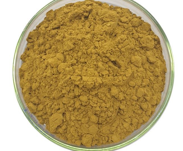 gymnema sylvestre extract powder