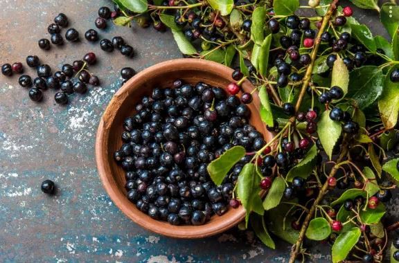 maqui berry benefits