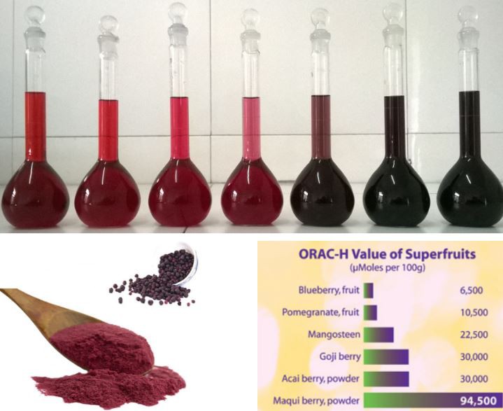 organic maqui berry powder