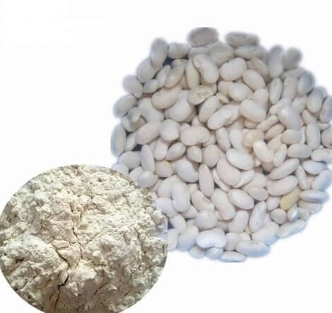 white kidney bean extract bulk