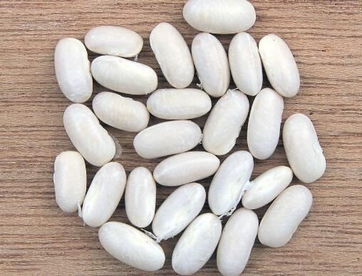 white kidney bean extract powder benefits