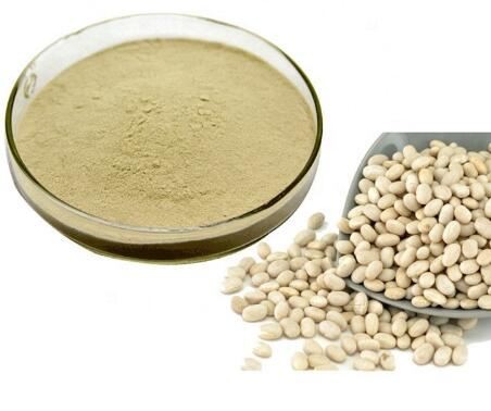 pure white kidney bean extract powder