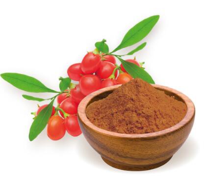 organic goji powder