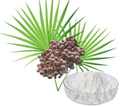 saw palmetto berries powder