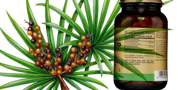 Saw Palmetto Powder Application