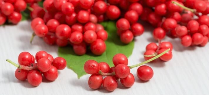 schizandra berry powder benefits