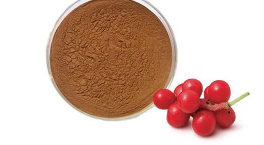 schisandra fruit extract