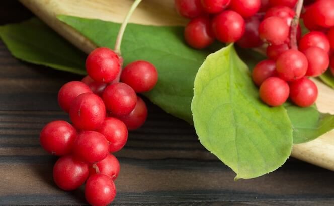 Schisandra Chinensis Benefits