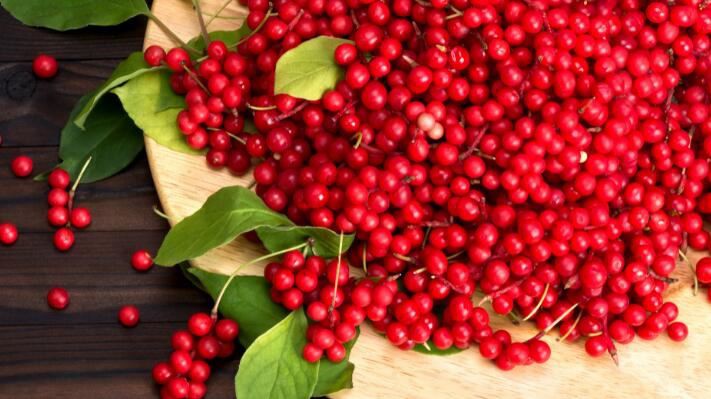 schisandra benefits