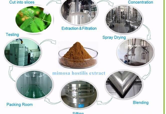 Mimosa Hostilis flow chart