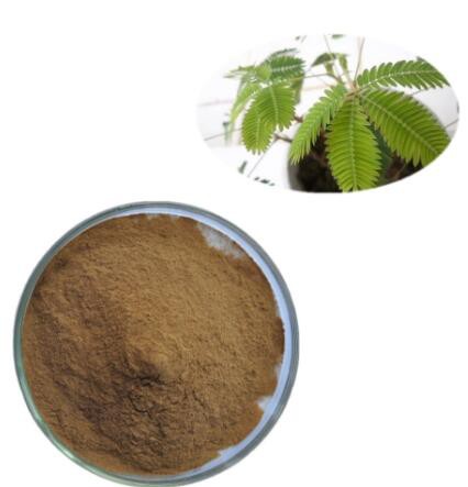 mimosa root bark powder for sale